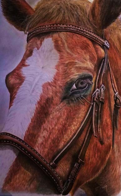 Brown Horse Color Pencil on Paper