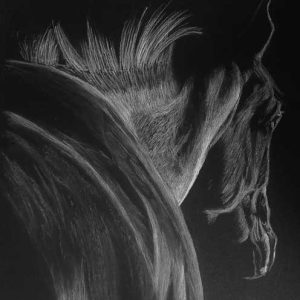 Horse 6 Pastel on Paper