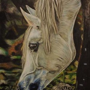 White Horse Color Pencil On Paper